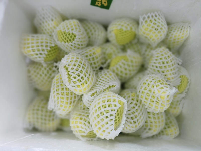 芭乐！红心，白心，软糯香甜，品种齐全