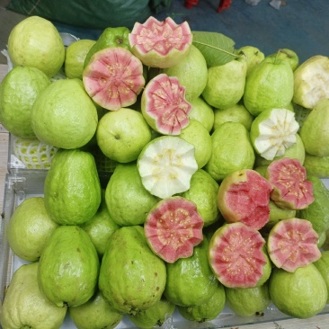 芭乐！红心，白心，软糯香甜，品种齐全