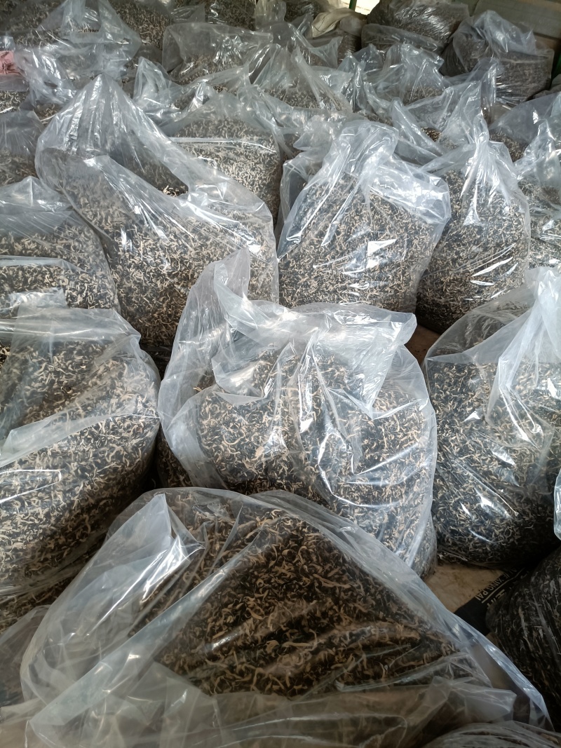足干木耳丝电商好货纯丝木耳丝加工厂毛木耳丝白背黑木耳丝