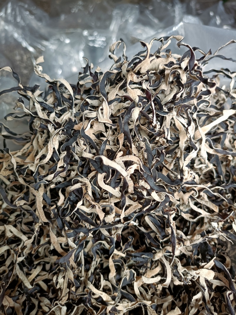 足干木耳丝电商好货纯丝木耳丝加工厂毛木耳丝白背黑木耳丝