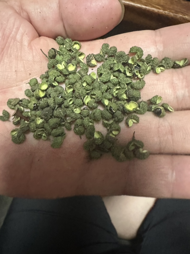 江津青花椒可代发全国对接各大电商平台产地直发