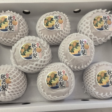 正宗精品秋月梨产地直供欢迎来选购！