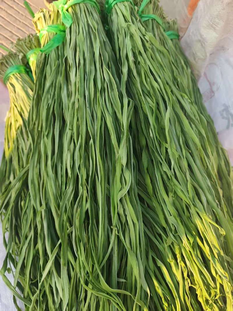 精品贡菜干贡菜健康干菜贡菜原产地直发量大优惠