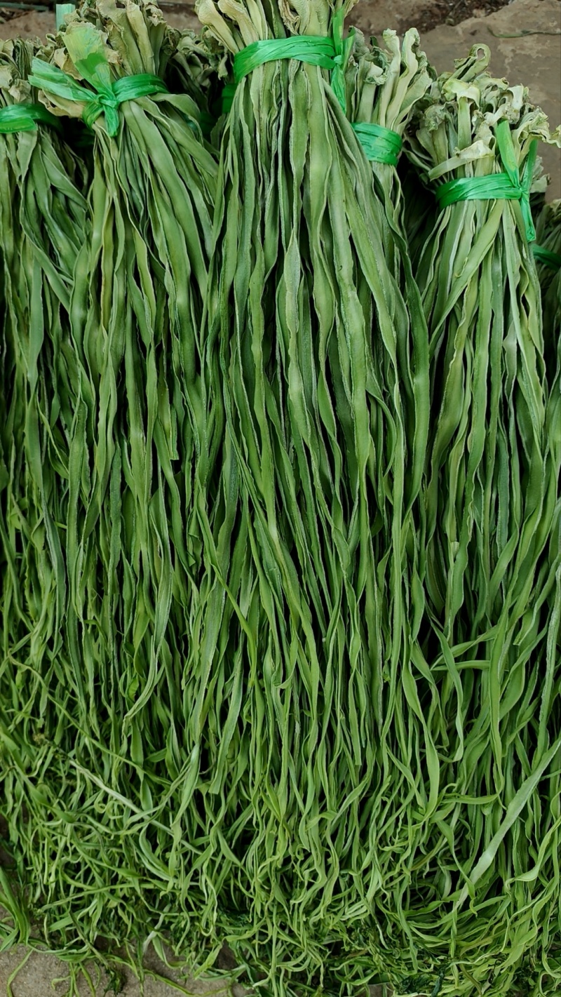 精品贡菜干贡菜健康干菜贡菜原产地直发量大优惠