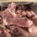 满肉猪脊骨,
