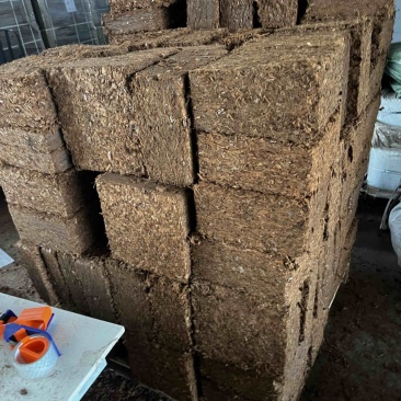椰糠椰砖育苗基质，预售。工厂直供对接批发零售商场超市等