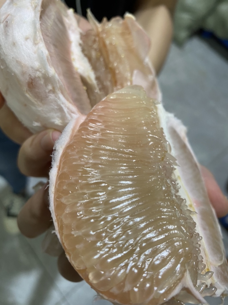 正宗莆田仙游度尾文旦柚子，果场直发