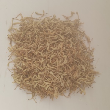 山东金银花