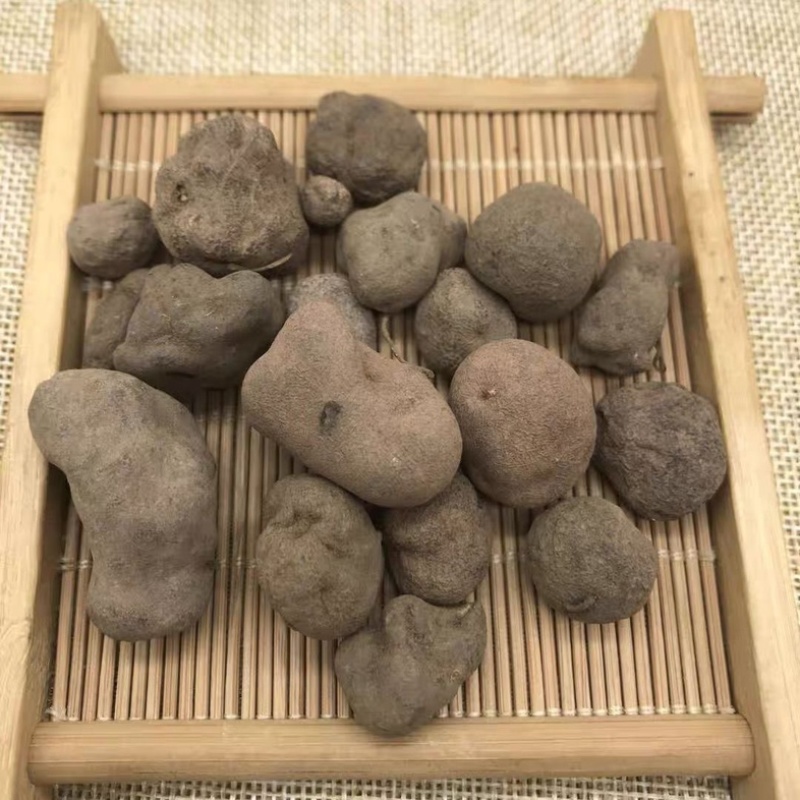 雷丸中药材野生雷丸冷背中药材大全批发零售货真价实