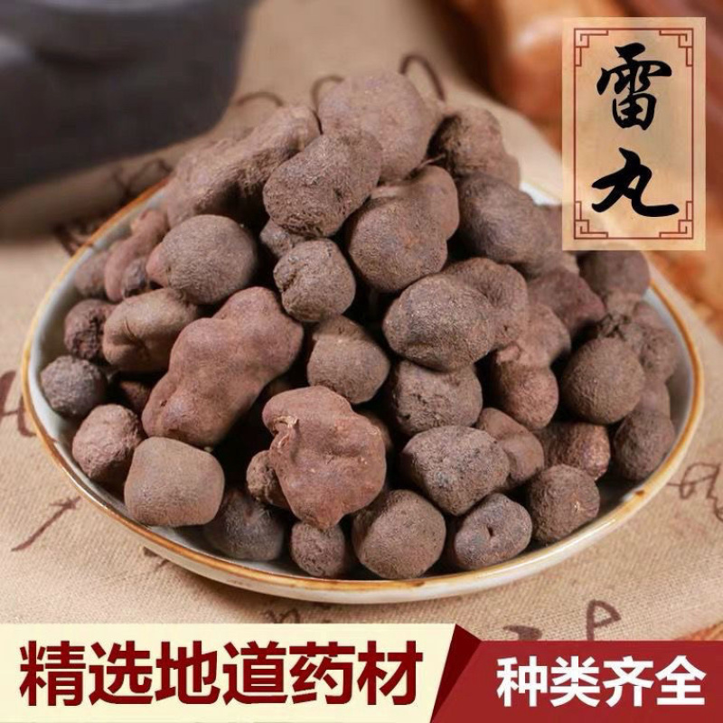 雷丸中药材野生雷丸冷背中药材大全批发零售货真价实