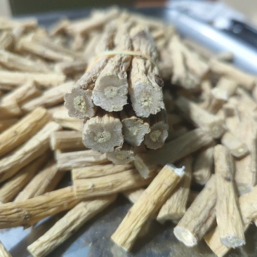 精品党参切断网店**农户直发
