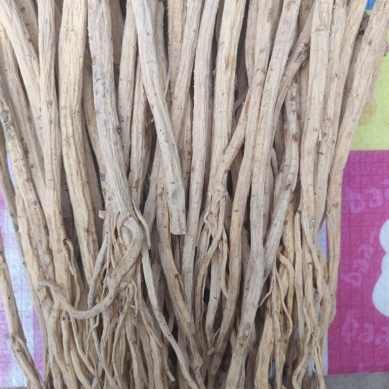 甘肃岷县精品党参抖店**精品无硫自然风干白条党参