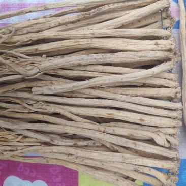 岷县白条党参精品网店**无硫自然风干白条党参