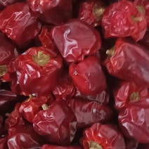 精品无把新货灯笼椒