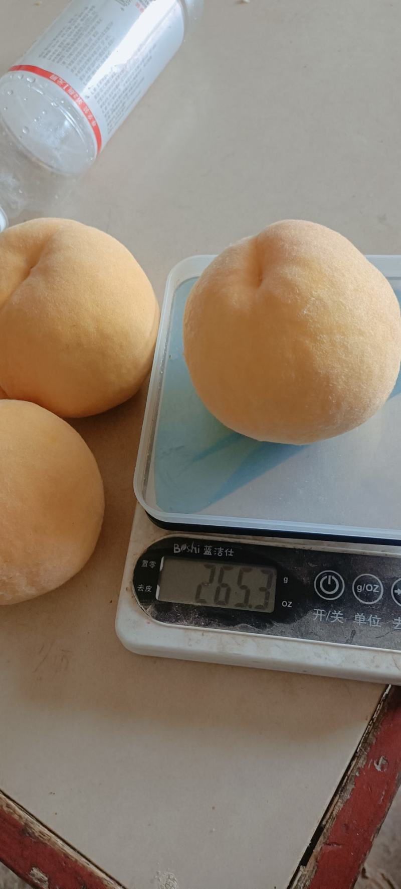 黄桃！优质黄桃、果个半斤起步，产地果园直供。