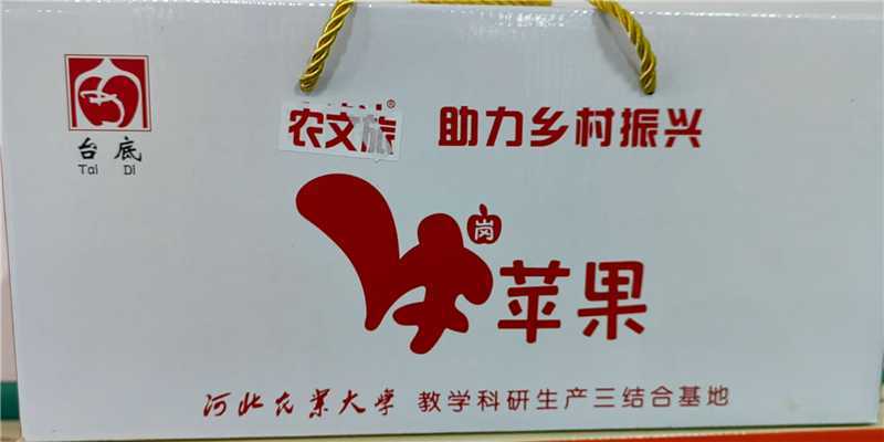 富士苹果个大饱满产地直发新鲜采摘规格齐全质量保证