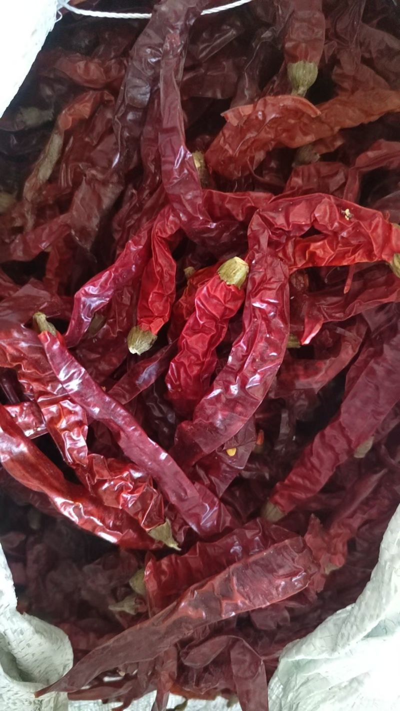 精品无把新货灯笼椒