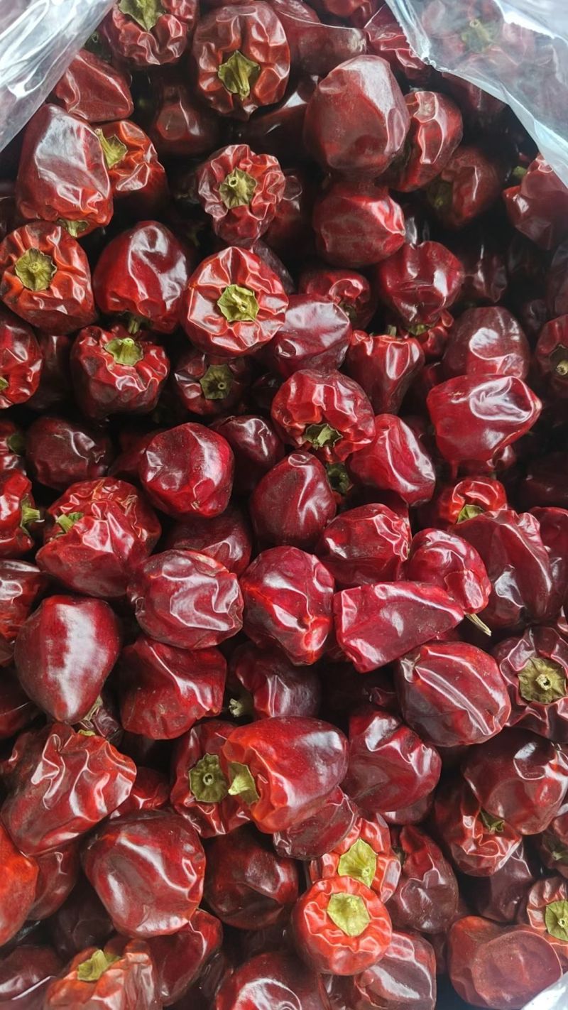 精品无把新货灯笼椒