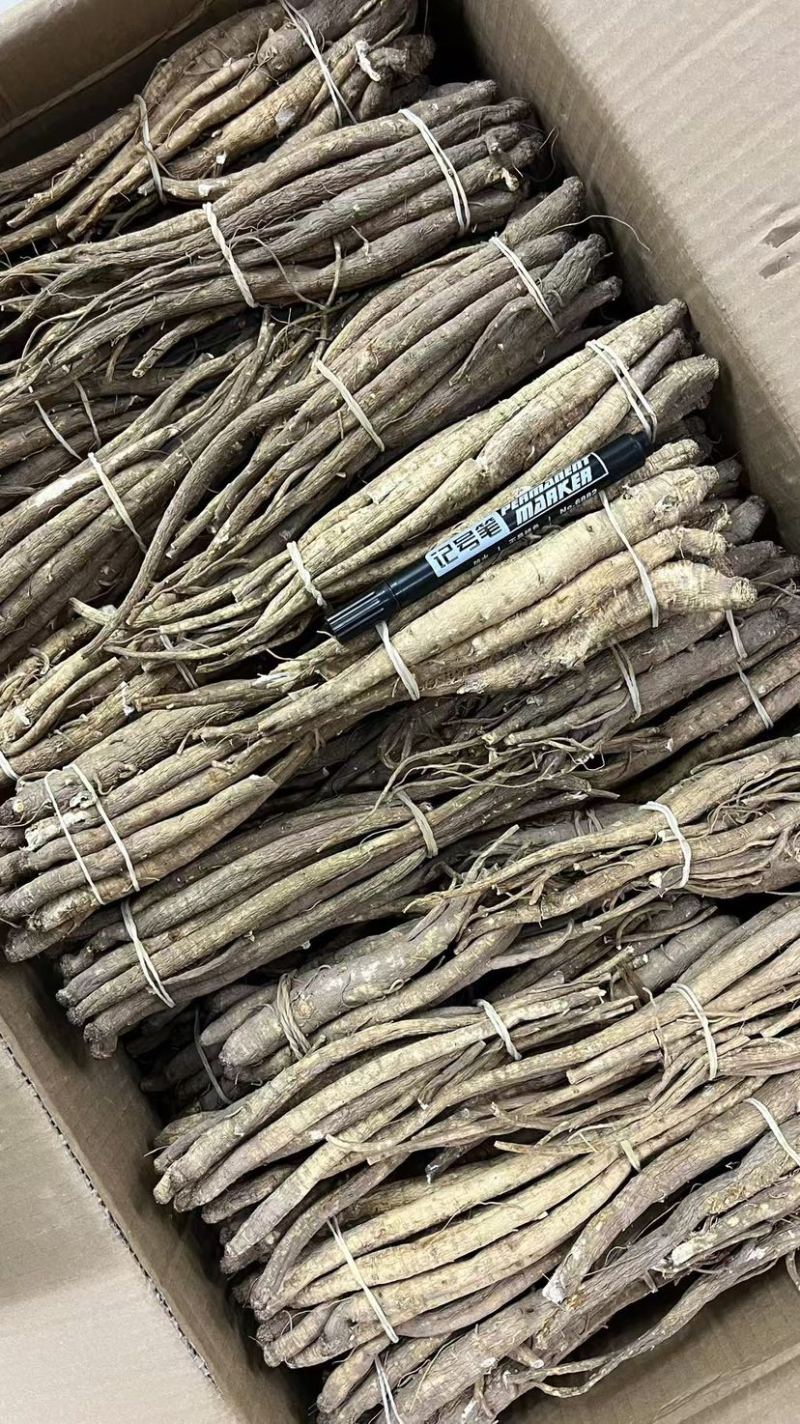 甜当归丽江甜当归高原独角当归阿坝地区批发自然晒干很粗大货