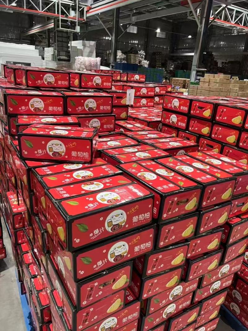葡萄柚平和琯溪蜜柚一件代发大量供应可视频看货欢迎来