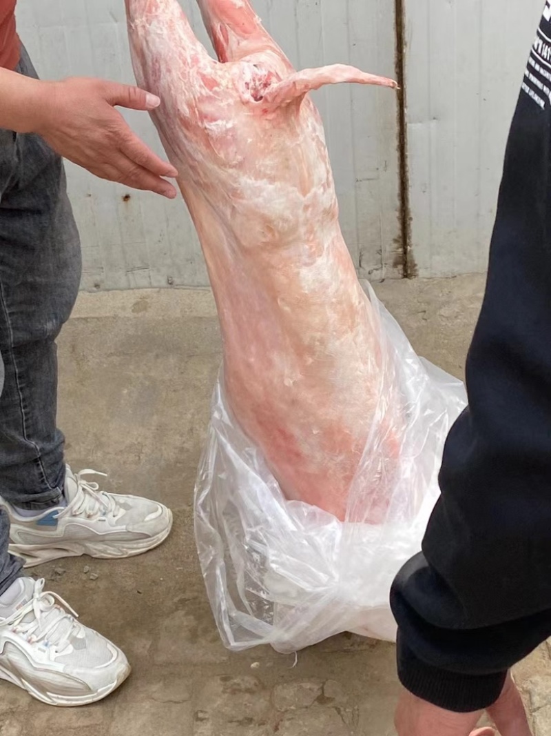 精美烤全羊羊酮体