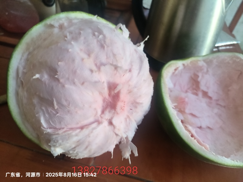 河源红宝石柚子***********