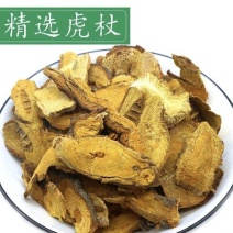 虎杖精选优质虎杖片过筛选片批发零售量大从优
