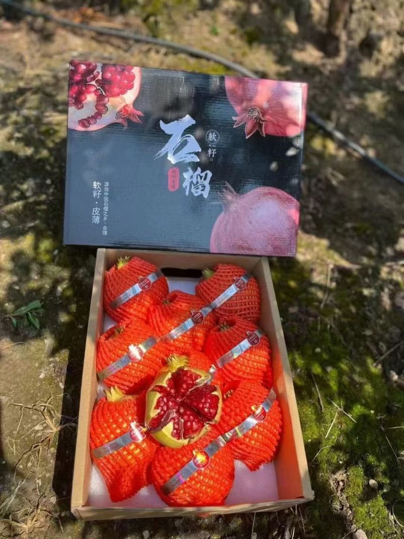 会理突尼斯软籽石榴