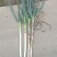 南阳新野大葱/铁杆大葱/新品大量上市，质量保证