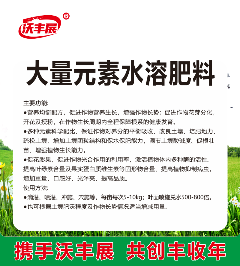 平衡肥大量元素水溶肥改良土壤生根壮苗促花膨果靓果提质增产