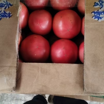 食堂货