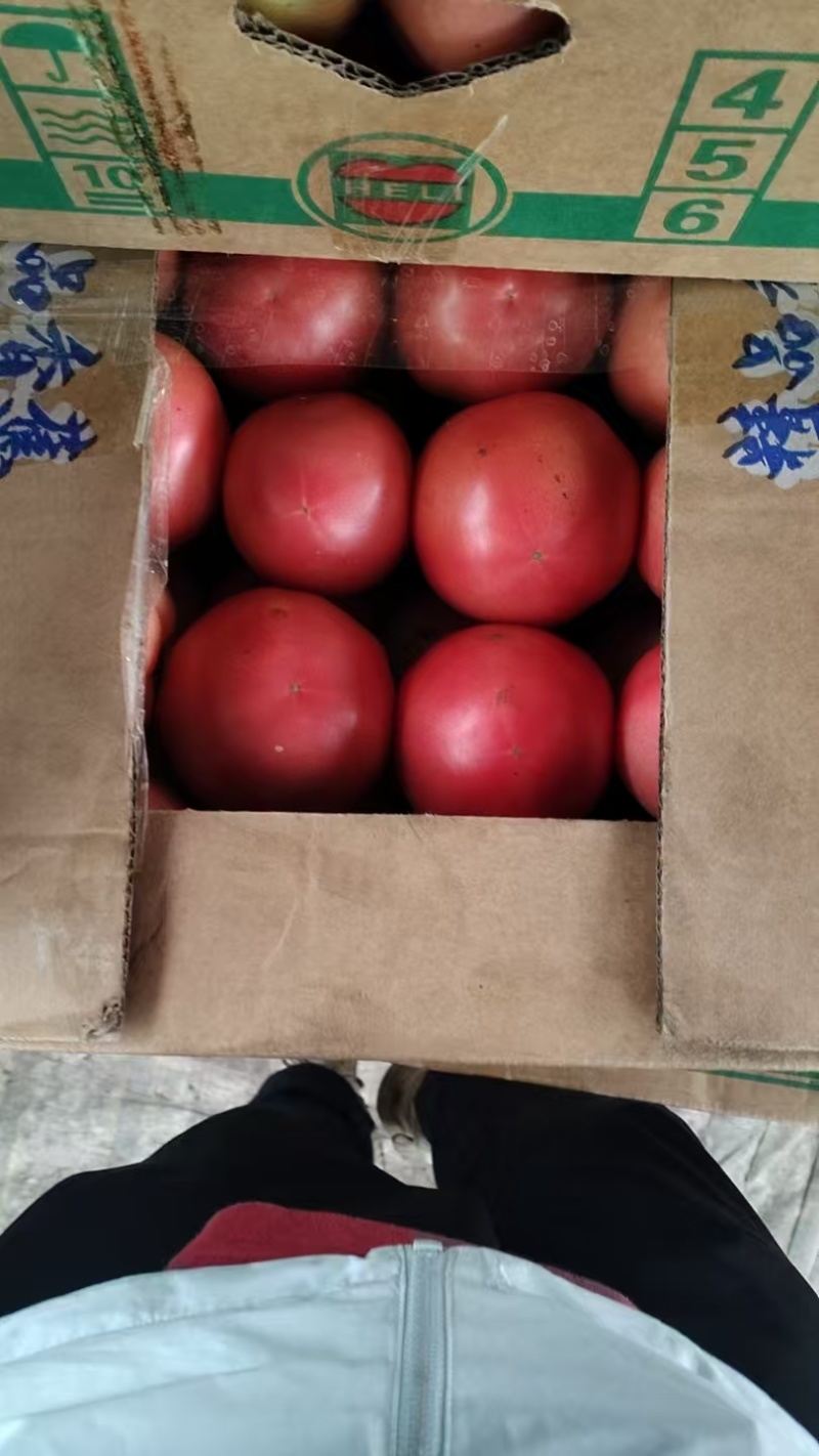 食堂货
