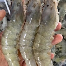 南美白对虾活力好，耐运输支持定制加工，也有鲜活速冻品质保证