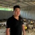 【广东七彩山鸡】产地发货质量保证价低，产地报当天行情价