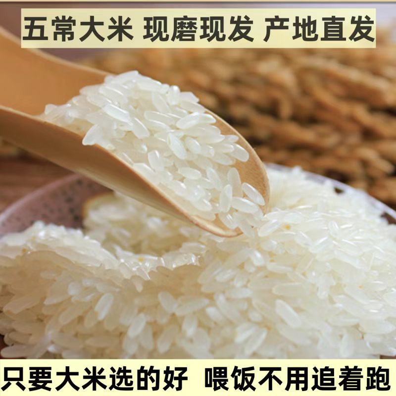 五常大米现磨现发产地直发原粮稻花香二号米香浓郁