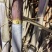 【推荐】甘蔗双芽段脱毒种苗/品质保证/广西区补贴六百一亩