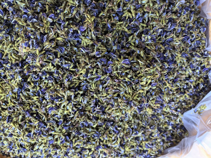 今年新产小葛花通货