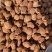 别被“颜值”骗了，新疆大丑杏干果肉厚实，甜而不腻。