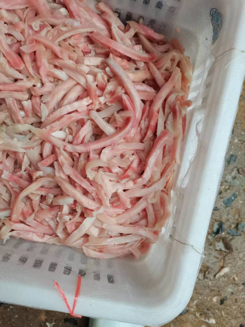 半熟猪肚丝