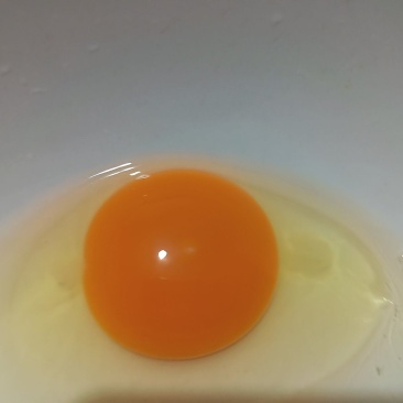 林下笨鸡蛋