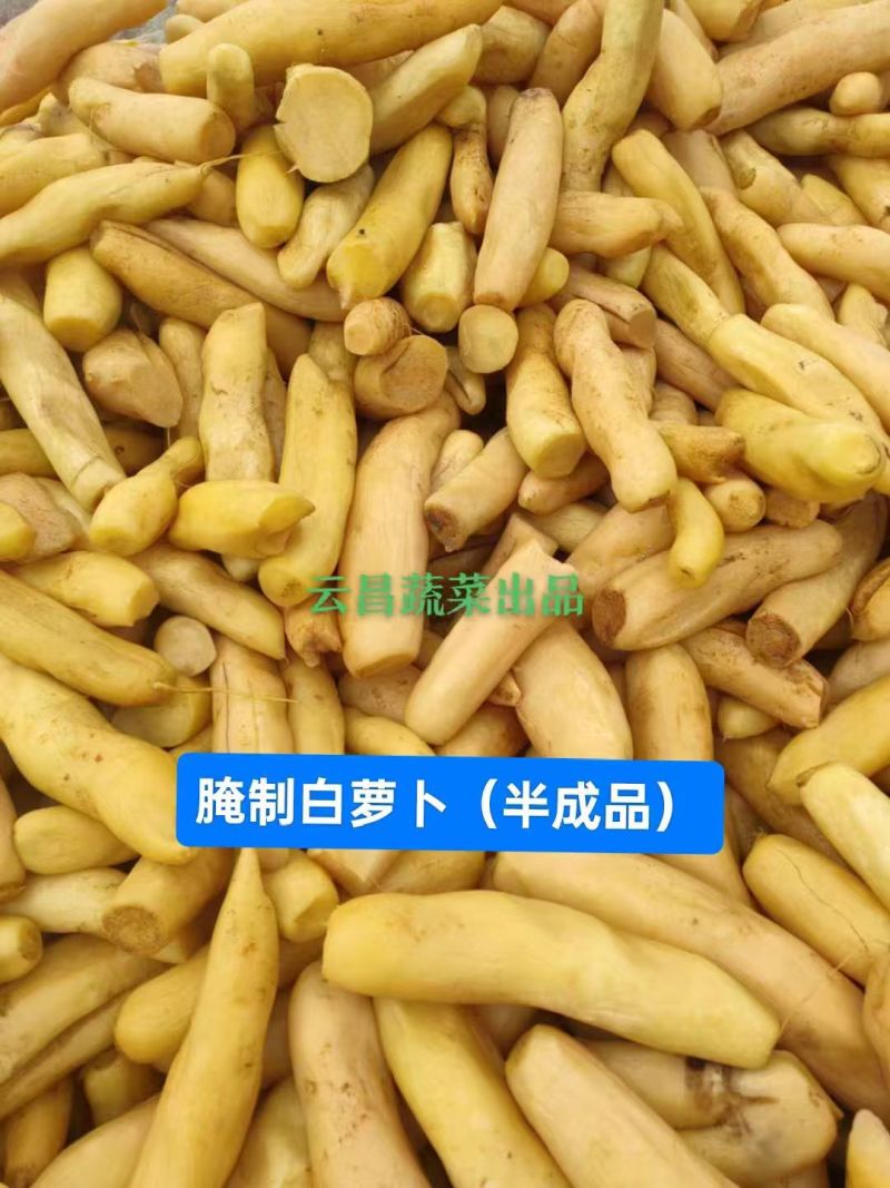 【腌萝卜】酱萝卜大量供应可视频看货欢迎来电采购洽谈