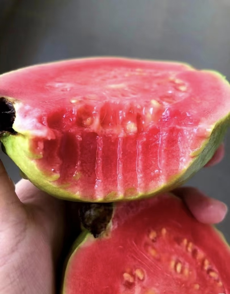 芭乐红心芭乐大量有货清甜可口品质优现摘现发基地直供