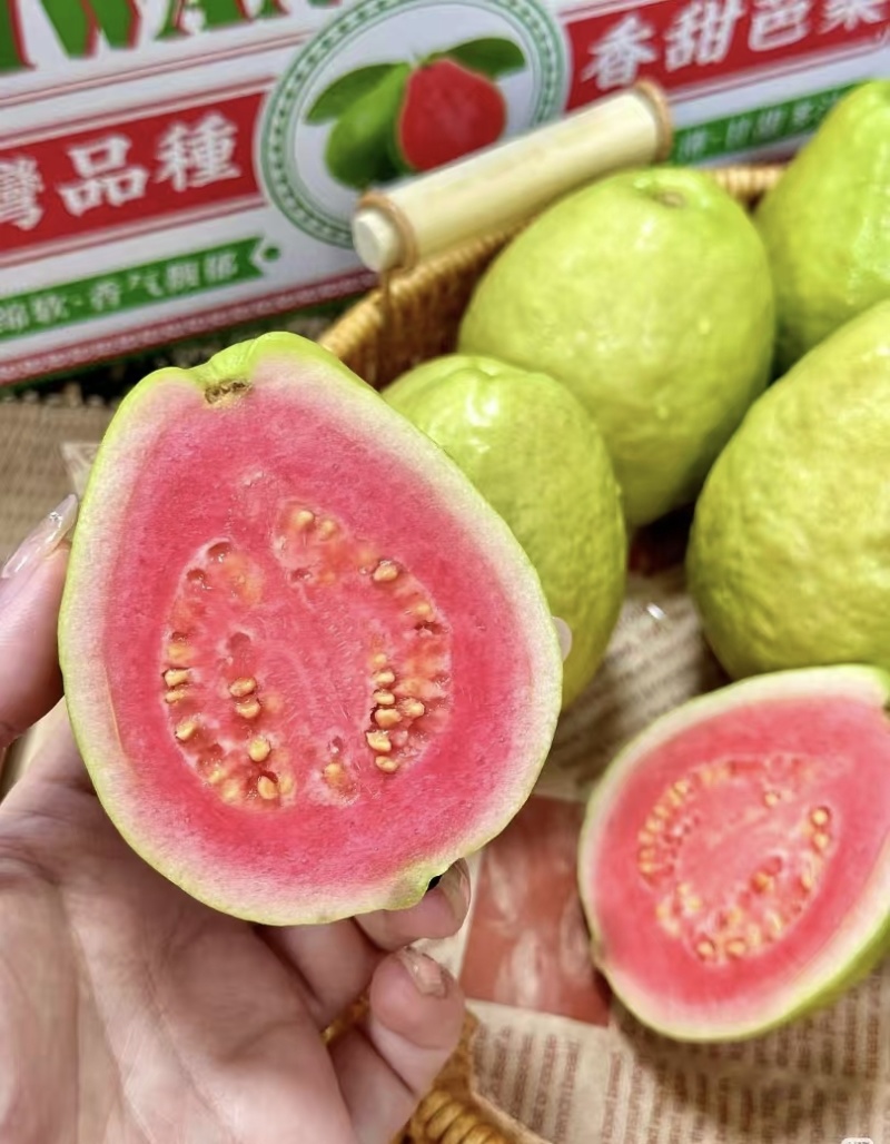 芭乐红心芭乐大量有货清甜可口品质优现摘现发基地直供