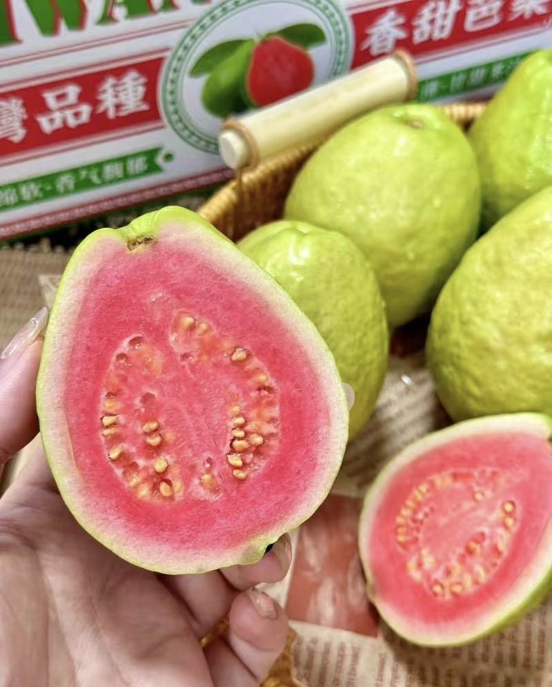 芭乐红心芭乐大量有货清甜可口品质优现摘现发基地直供