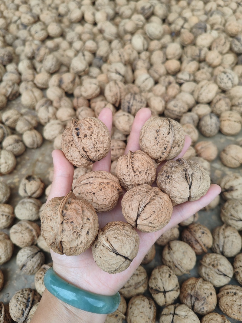 云南老品种老树薄壳核桃大麻子核桃干果欢迎各地老板订购