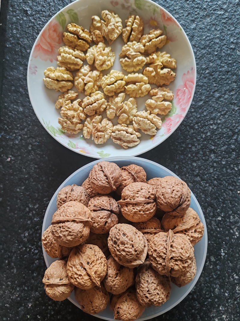 云南老品种老树薄壳核桃大麻子核桃干果欢迎各地老板订购