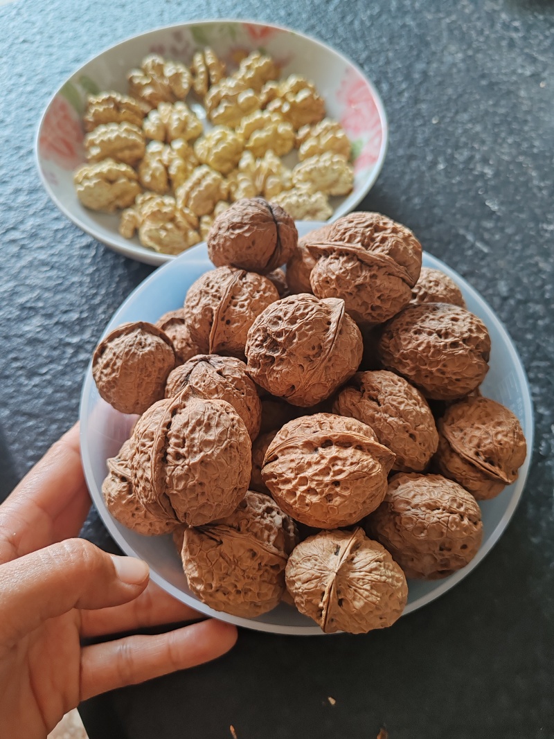 云南老品种老树薄壳核桃大麻子核桃干果欢迎各地老板订购