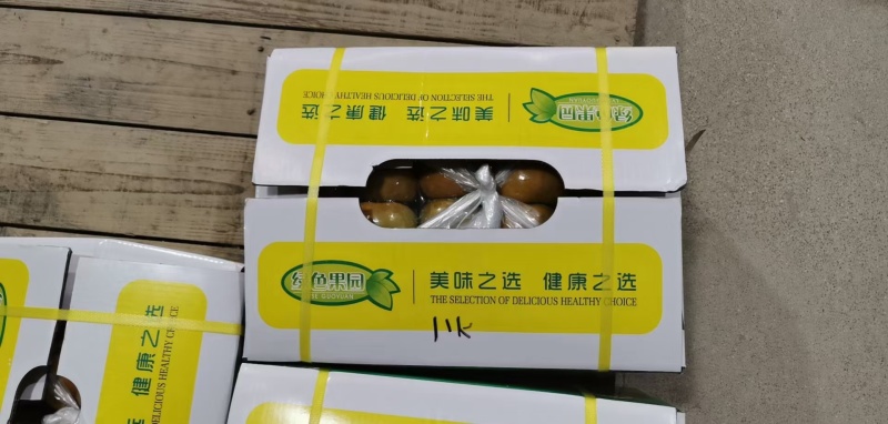 广西脆柿