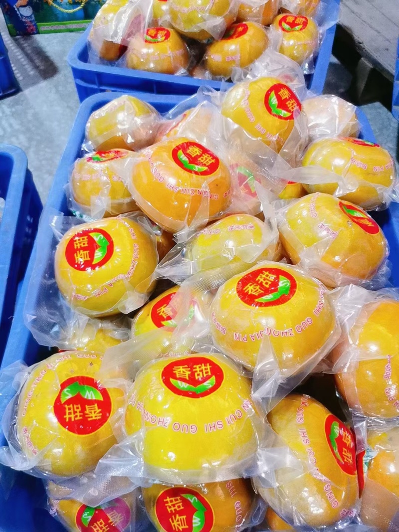 广西脆柿