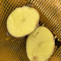 新上市陇薯七号炸薯片现货可发物流